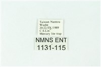 三色豔苔蛾藏品圖，第3張