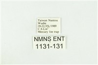 寬紋黃毒蛾藏品圖，第3張