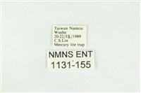 寬紋黃毒蛾藏品圖，第3張