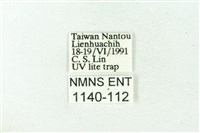 赭新污燈蛾藏品圖，第3張