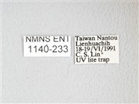 凹角鉤蛾藏品圖，第3張