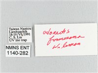 臺灣蘋毛蟲藏品圖，第3張