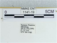 登錄號:001141-00019藏品圖，第3張