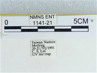 登錄號:001141-00021藏品圖，第3張