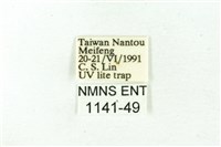 赭新污燈蛾藏品圖，第3張