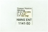 赭新污燈蛾藏品圖，第3張