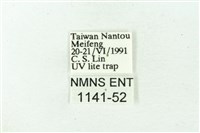 赭新污燈蛾藏品圖，第3張