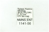 赭新污燈蛾藏品圖，第3張