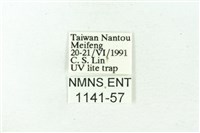 赭新污燈蛾藏品圖，第3張