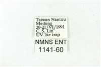 赭新污燈蛾藏品圖，第3張