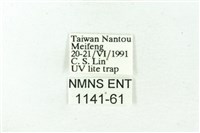 赭新污燈蛾藏品圖，第3張