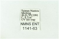 赭新污燈蛾藏品圖，第3張