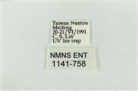 素木氏美波紋蛾藏品圖，第3張