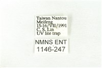 樹形尺蛾藏品圖，第3張