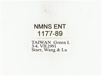 藍艷白點花金龜藏品圖，第2張