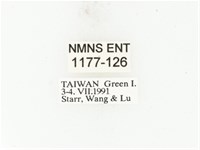 藍艷白點花金龜藏品圖，第2張