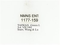 藍艷白點花金龜藏品圖，第2張