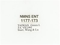 藍艷白點花金龜藏品圖，第2張