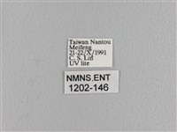 波紋枯葉蛾藏品圖，第3張