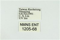 黑翅黃毒蛾藏品圖，第3張