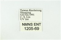 黑翅黃毒蛾藏品圖，第3張