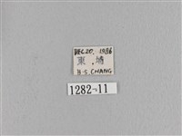 波紋枯葉蛾藏品圖，第3張