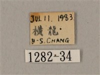 鬼臉天蛾藏品圖，第3張