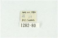 白斑散紋夜蛾藏品圖，第3張