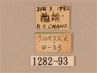 背中白天蛾藏品圖，第3張