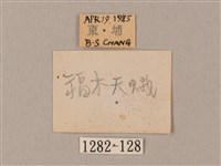 臀角斑天蛾藏品圖，第3張