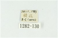 白斑散紋夜蛾藏品圖，第3張