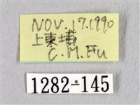 阿里山絨帶蛾藏品圖，第3張