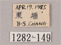 榆綠天蛾藏品圖，第3張