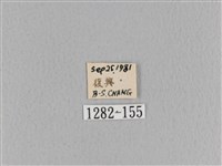 大褐斑枯葉蛾藏品圖，第3張