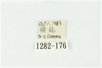 白斑散紋夜蛾藏品圖，第3張