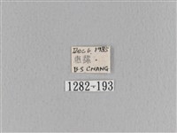 大褐斑枯葉蛾藏品圖，第3張