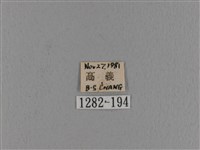 波紋枯葉蛾藏品圖，第3張