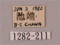 桃紅六點天蛾藏品圖，第3張