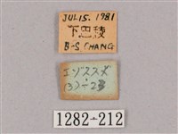 盾天蛾藏品圖，第3張