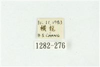 白斑散紋夜蛾藏品圖，第3張