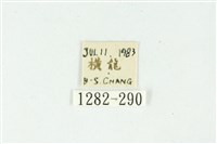 白斑散紋夜蛾藏品圖，第3張