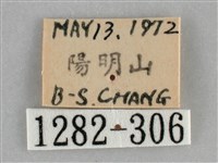 扁刺蛾藏品圖，第3張