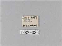 馬尾松枯葉蛾藏品圖，第3張