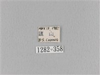 大褐斑枯葉蛾藏品圖，第3張