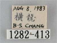 扁刺蛾藏品圖，第3張