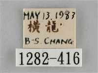 扁刺蛾藏品圖，第3張
