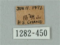 蝦殼天蛾藏品圖，第3張