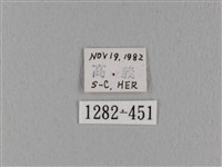 緣斑枯葉蛾藏品圖，第3張