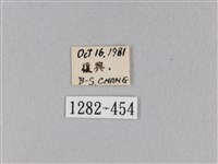 馬尾松枯葉蛾藏品圖，第3張