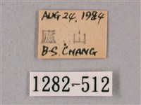 榆綠天蛾藏品圖，第3張